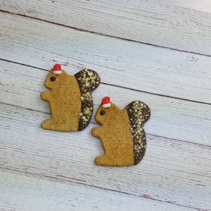 Santa Squirrel